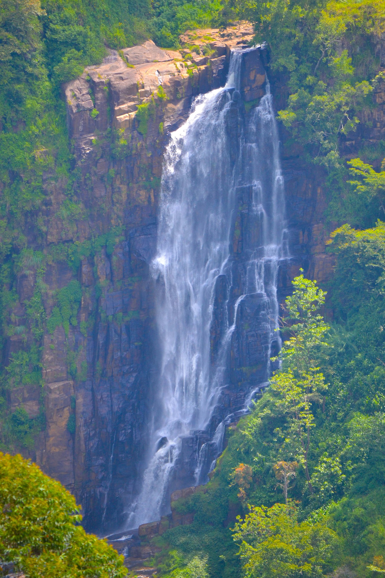 Devon Falls