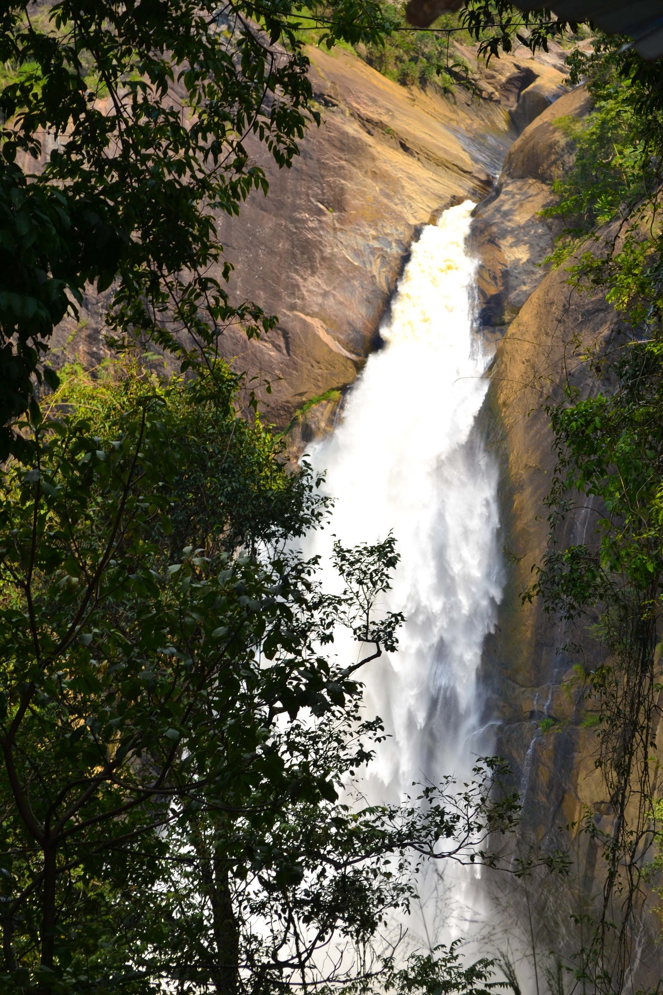 Dunhinda Waterfall